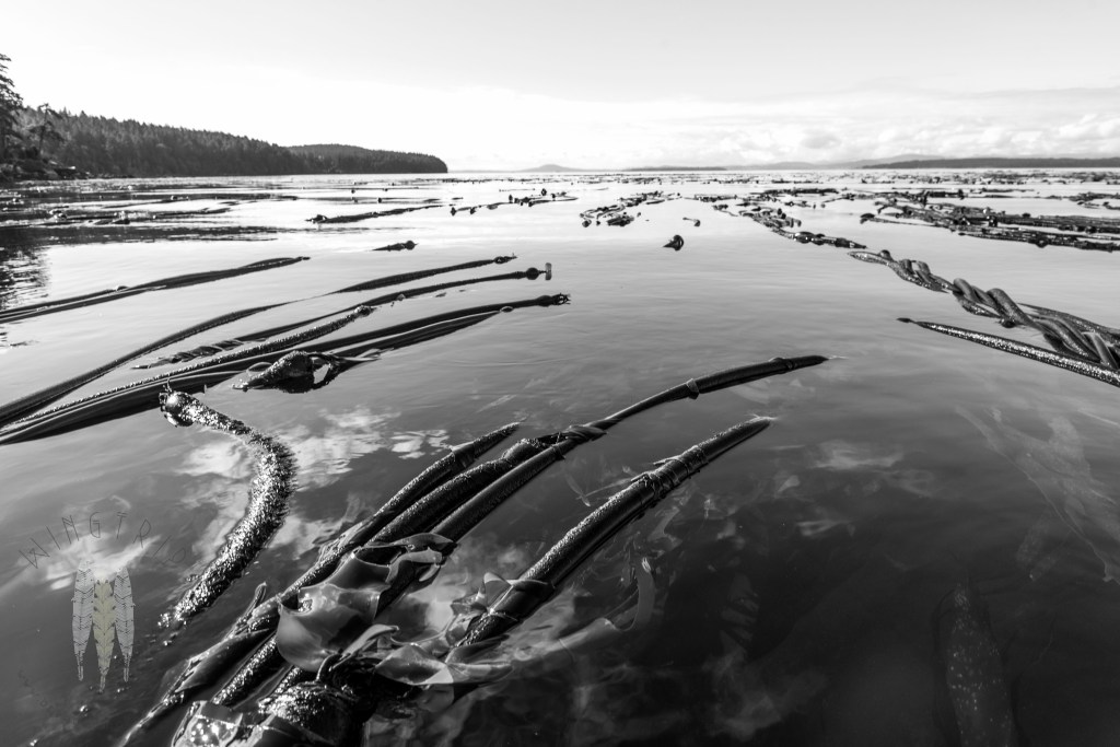 Brendan_McGarry_151013_00152