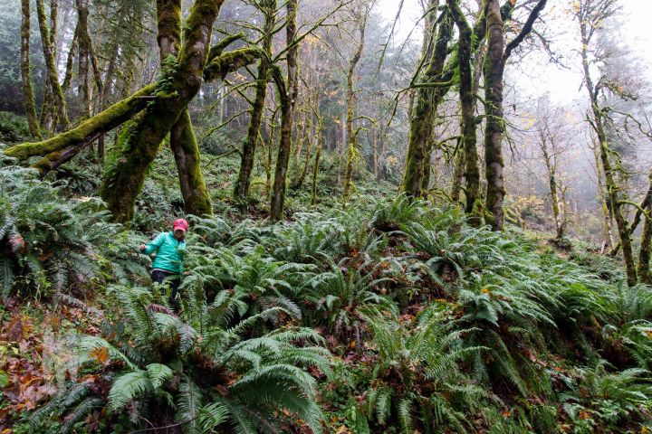 Brendan_McGarry_151109_00048