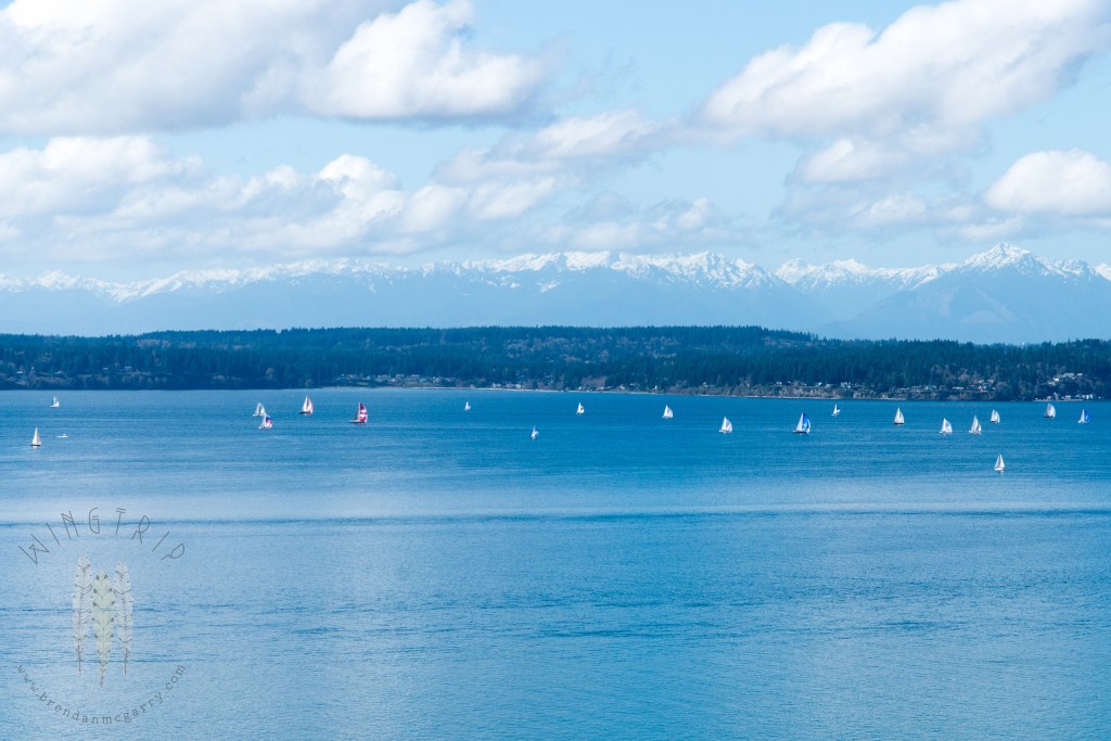 Brendan_McGarry_160305_00008