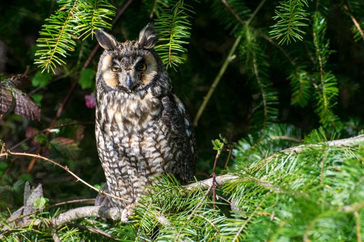 Brendan_McGarry_160305_00010-2