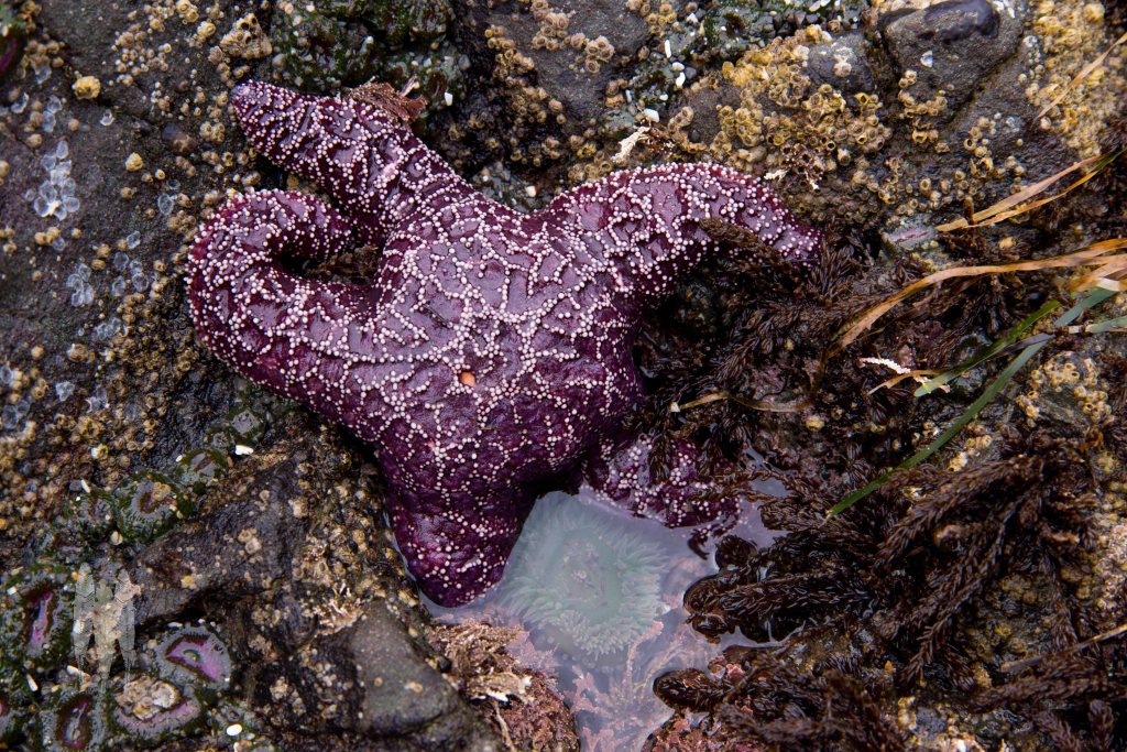 Brendan_McGarry_160410_00115