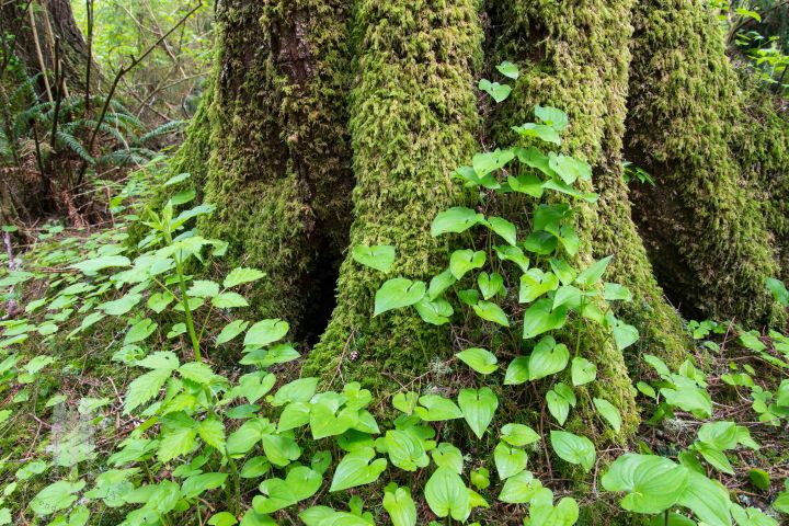 Brendan_McGarry_160411_00266