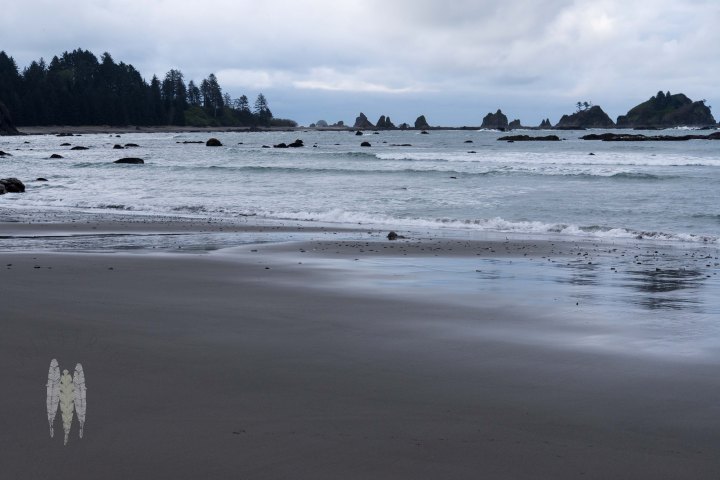 Brendan_McGarry_160411_00224