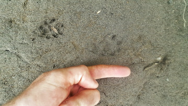 20160514_145741-01-01