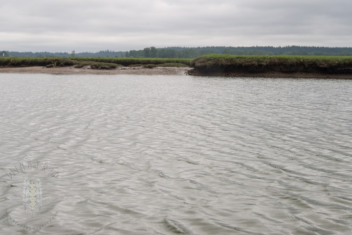 Brendan_McGarry_160514_00021