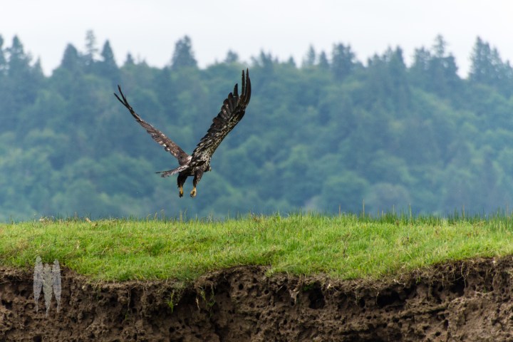 Brendan_McGarry_160514_00039