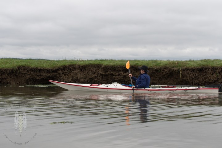 Brendan_McGarry_160514_00046