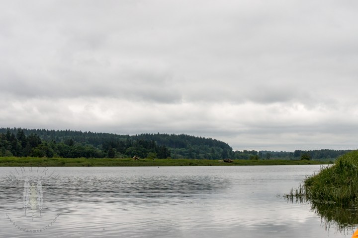 Brendan_McGarry_160514_00066