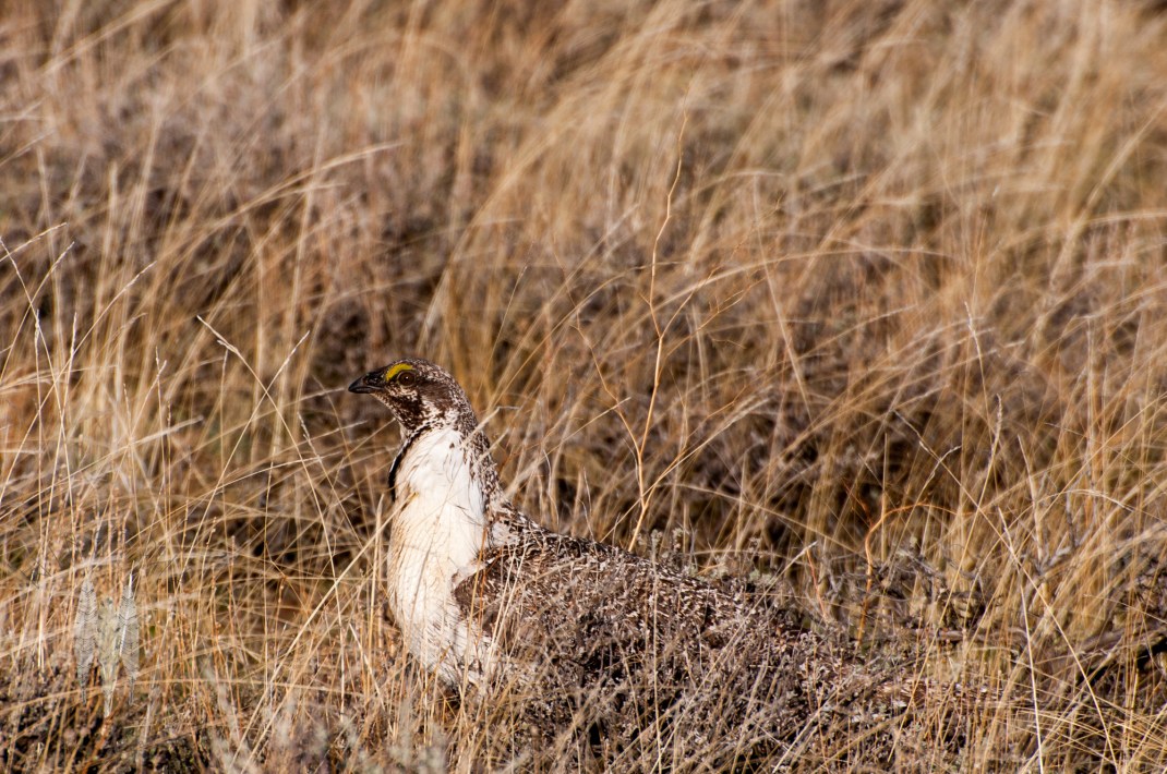 Brendan_McGarry_120417_00065