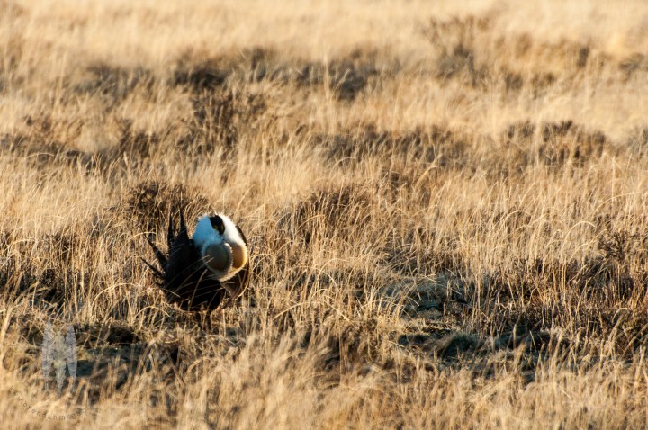 Brendan_McGarry_120417_00436