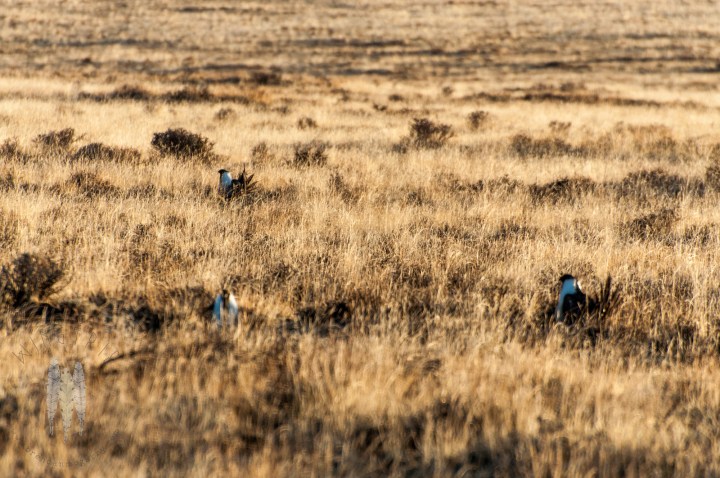 Brendan_McGarry_120417_00472