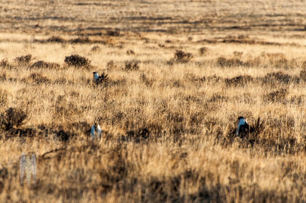 Brendan_McGarry_120417_00472