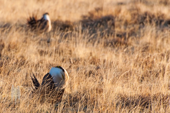 Brendan_McGarry_120417_00505