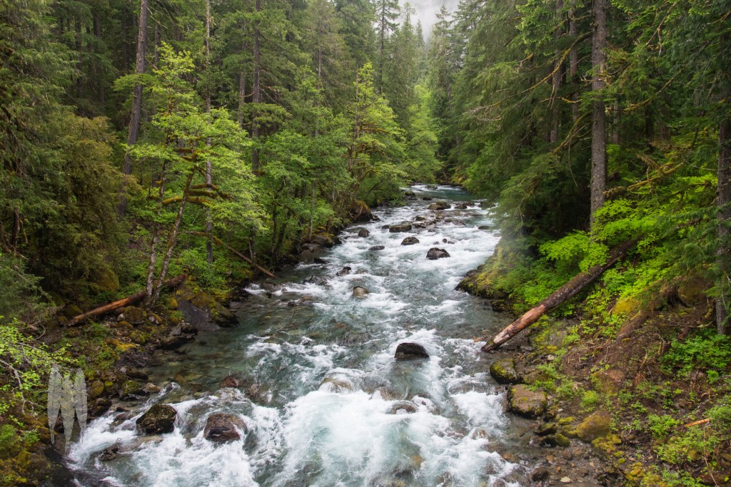 Brendan_McGarry_160521_00090