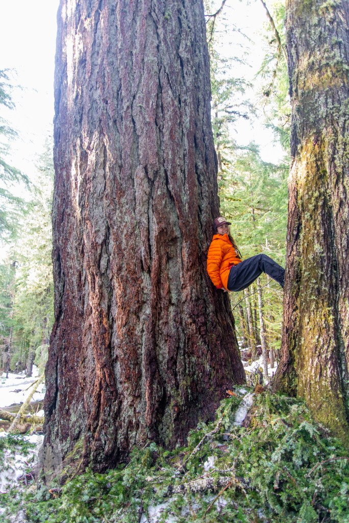 brendan_mcgarry_160124_00341