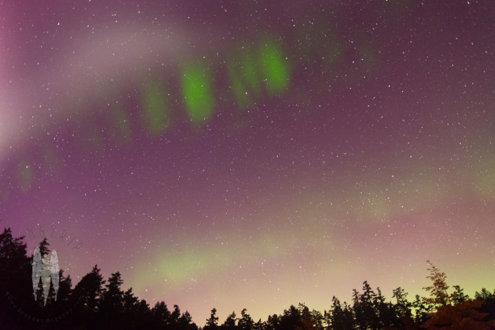 brendan_mcgarry_160507_00163