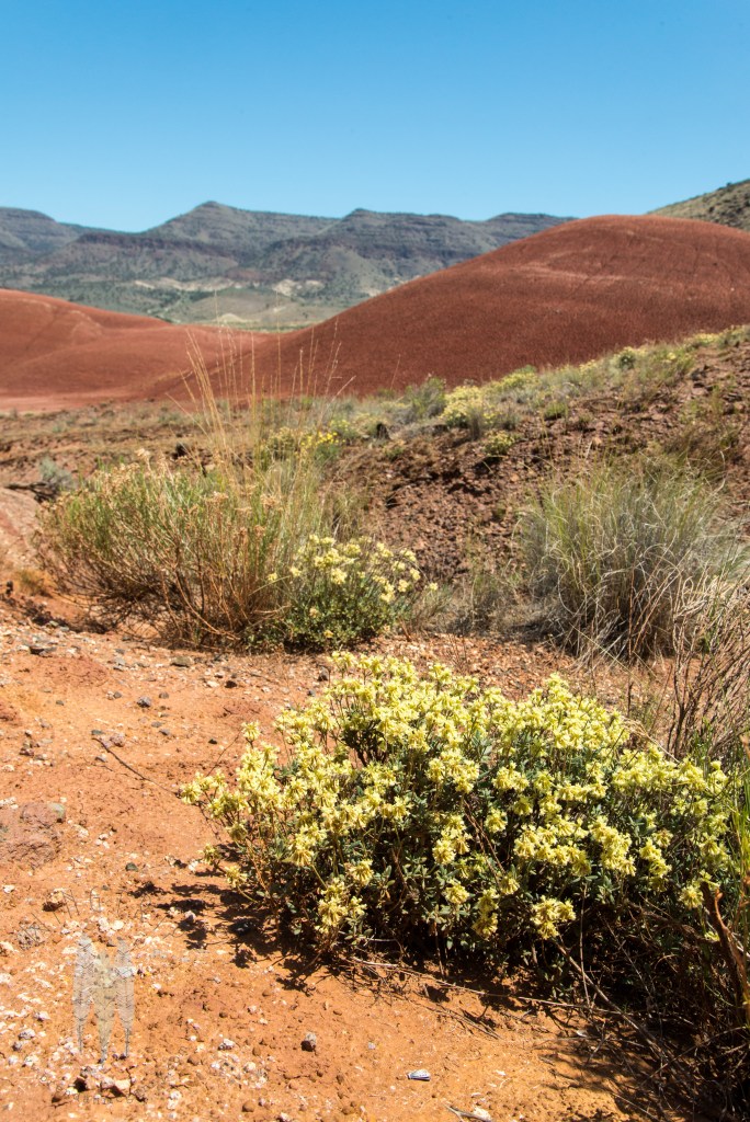 brendan_mcgarry_160530_00259