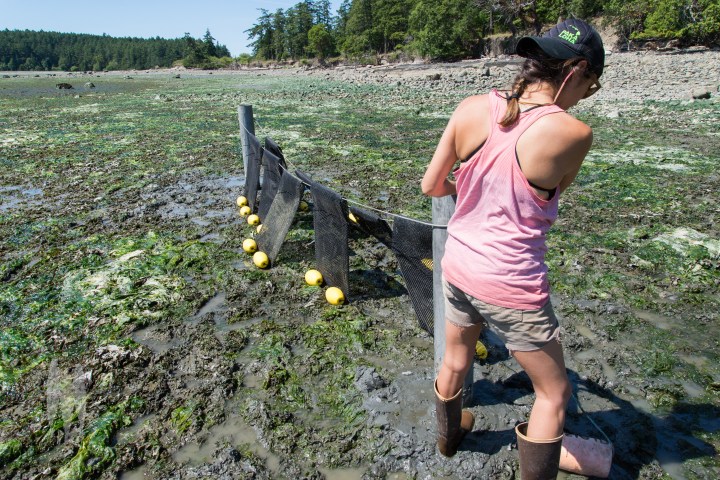 brendan_mcgarry_160605_00036