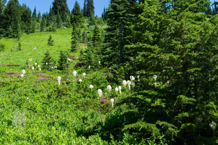 brendan_mcgarry_160731_00031