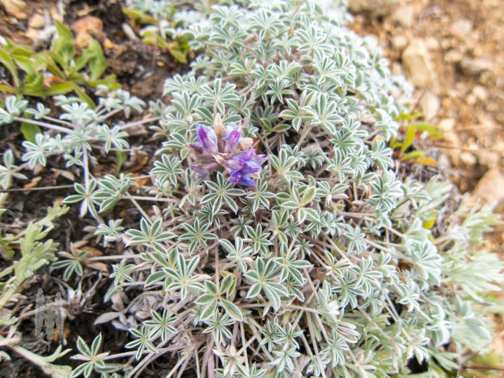 brendan_mcgarry_160905_00093