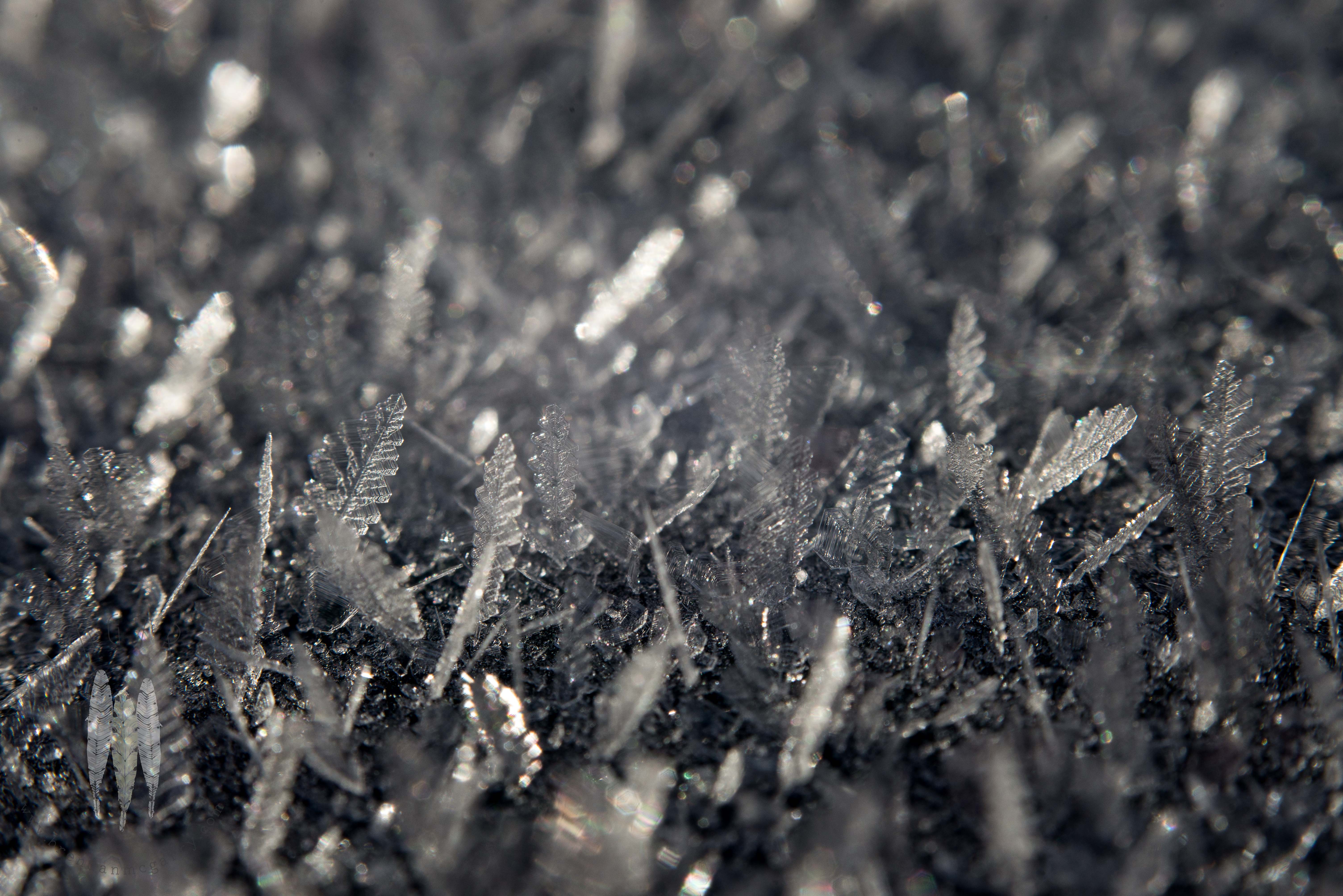 Brendan_McGarry_170106_00270